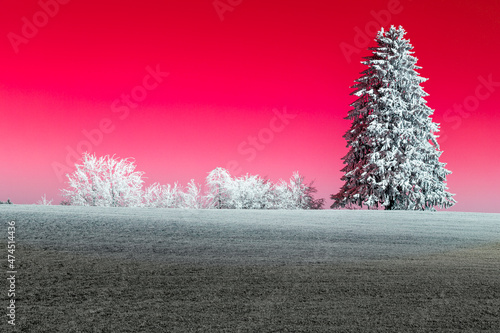 Schilderij op canvas Winterimpression mal anders - rot -weihnachtsrot