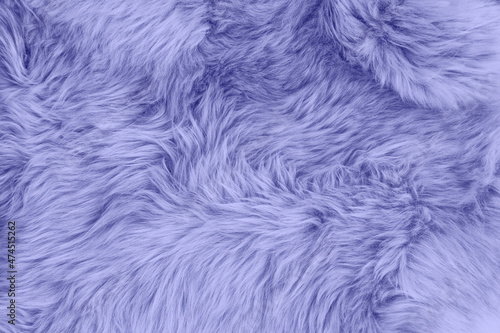 Very peri color sheep fur sheepskin rug background Wool texture photo