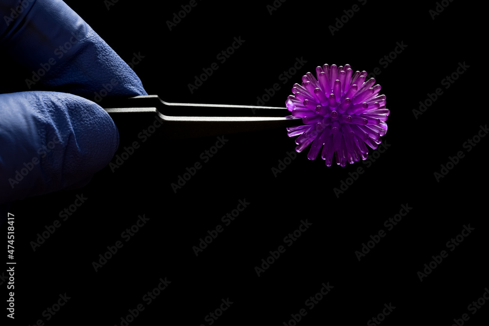 Fototapeta premium catching a coronavirus model on dark