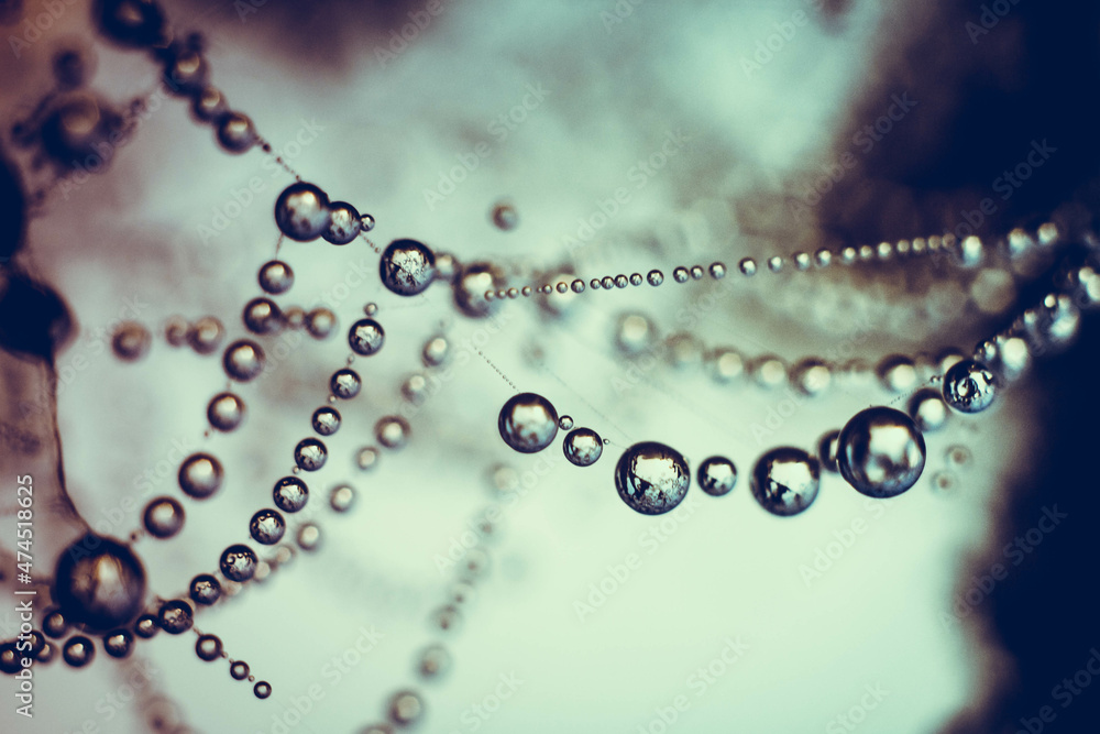 Spider web wit dew drops in morning bright light and blurred blue background Spider web wit dew drops in morning bright light and blurred blue background