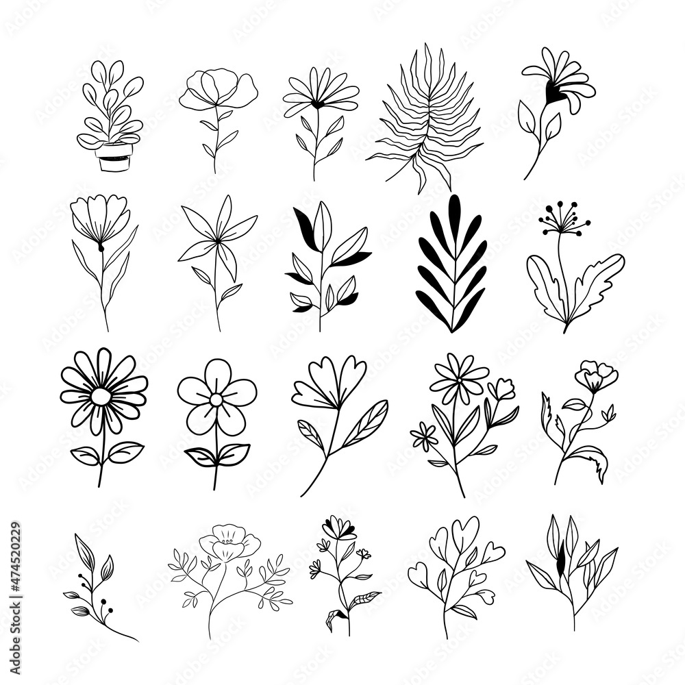 Botanical line art floral leaves collection. Set of plants. Hand drawn sketch branches isolated on white background. Vector illustration
