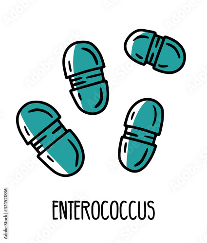 Enterococcus lactic acid pathogen bacteria in the human intestinal microflora, vector illustration. Microbiota of the digestive tract.