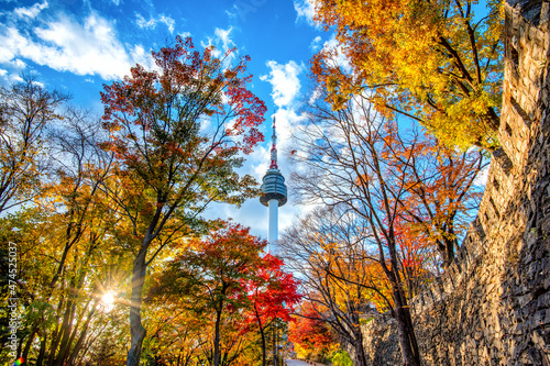 autumn in the park