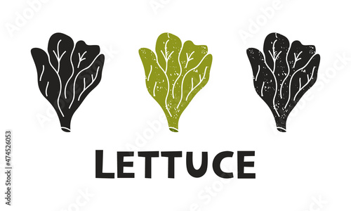 Lettuce, silhouette icons set with lettering. Imitation of stamp, print with scuffs. Simple black shape and color vector illustration. Hand drawn isolated elements on white background