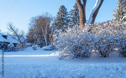 Snow covered forests and lakes in winter	 photo