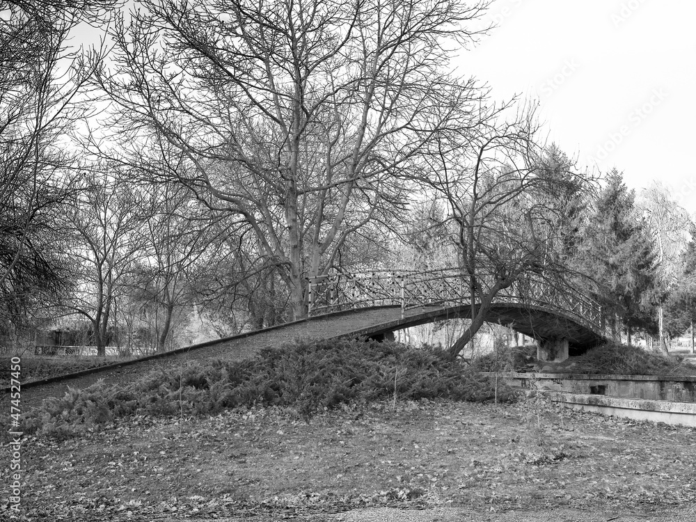Photo of a bridge in the park