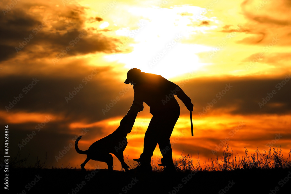 Protective section with a dog, a dog attacks a helper against a sunset background