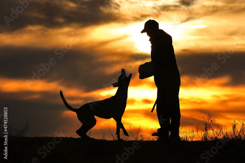 Protective section with a dog  a dog attacks a helper against a sunset background