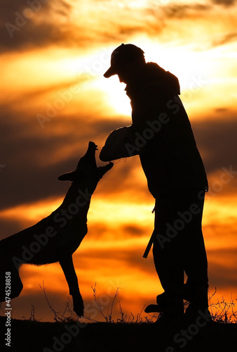 Protective section with a dog, a dog attacks a helper against a sunset background photo