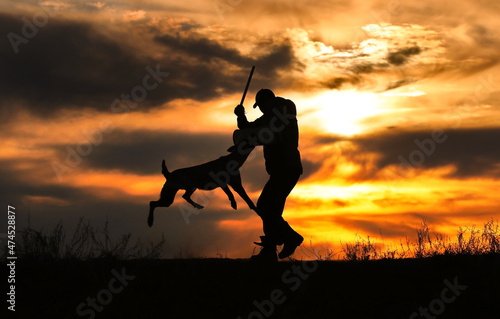 Protective section with a dog, a dog attacks a helper against a sunset background photo