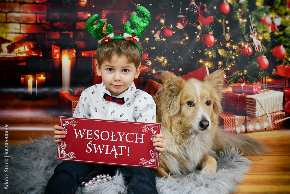 Wesołych świąt chłopiec i pies  - obrazy, fototapety, plakaty 