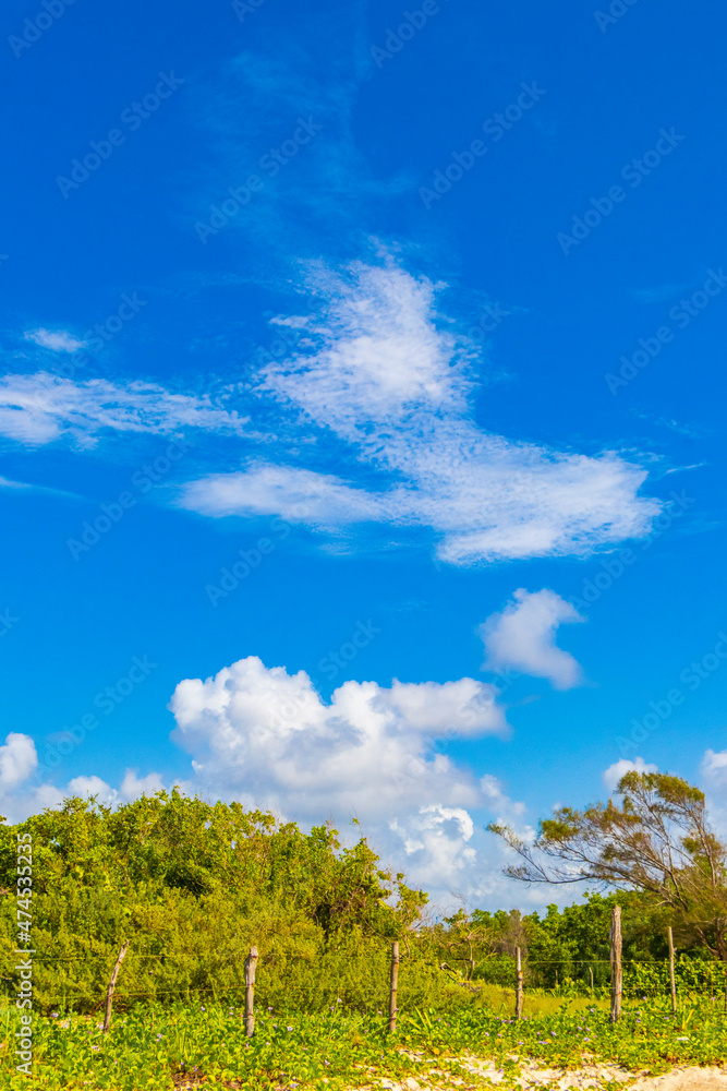 Blue sky with chemical clouds chemical sky chemtrails sunny day. Blue sky with chemical clouds chemical sky chemtrails sunny day.