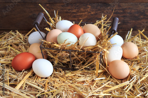 Frische Eier direkt vom Bauern