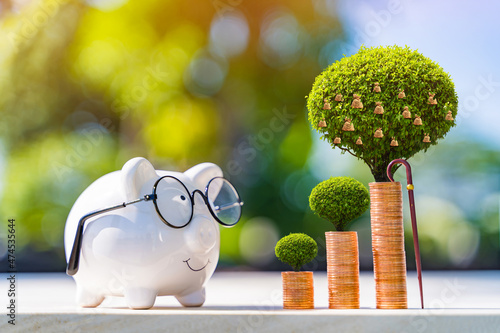 Piggy bank and stack gold coin and money bag of tree with growing value and wooden walking cane put on the wood in the public park, Saving money for retirement and planning in the future concept. photo