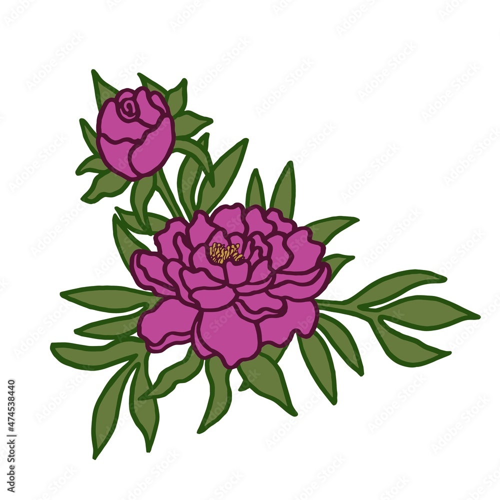 Simple vector outline color drawing of peony branch with flower and bud. Green and pink floral illustration