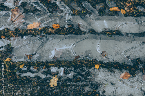  tires trail and leaves frozen in puddle