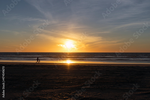 person walking with a dog in a sunset on the beach © desiree