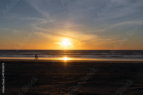 person walking with a dog in a sunset on the beach