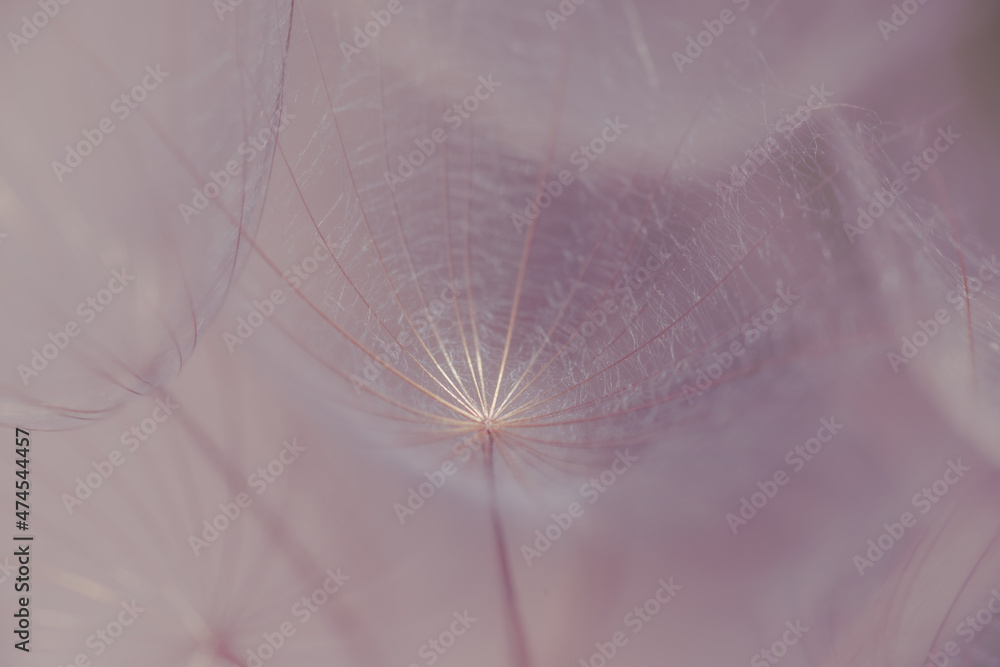 image to crop