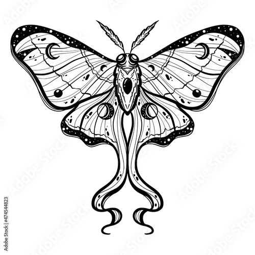 Butterfly or wild Luna moths insects. Mystical symbol or entomological of freedom. Engraved hand drawn vintage sketch for wedding card or logo. Vector illustration. Arthropod animals.