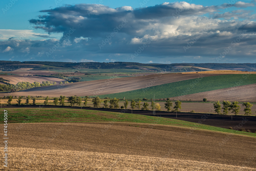 Agricultural landscape panorama. Moravian fields, Moravia, Czech Republic, around the village Kyjov