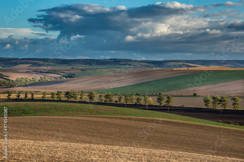 Agricultural landscape panorama. Moravian fields, Moravia, Czech Republic, around the village Kyjov
