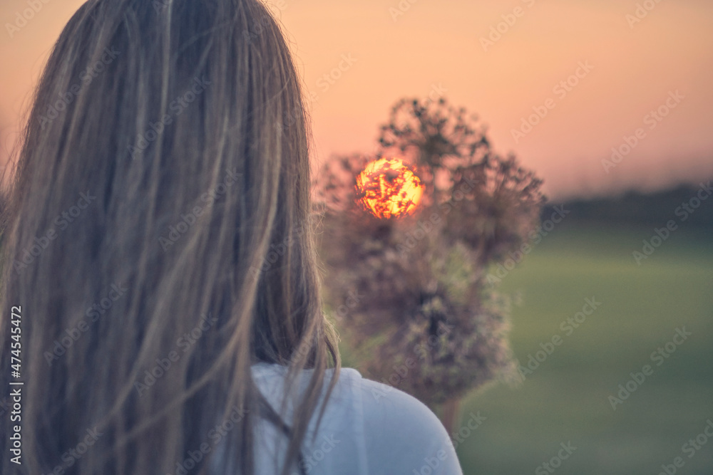 Naklejka premium Sonnenuntergang sunset
