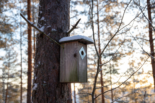 Wooden birdhouse in tree during winter