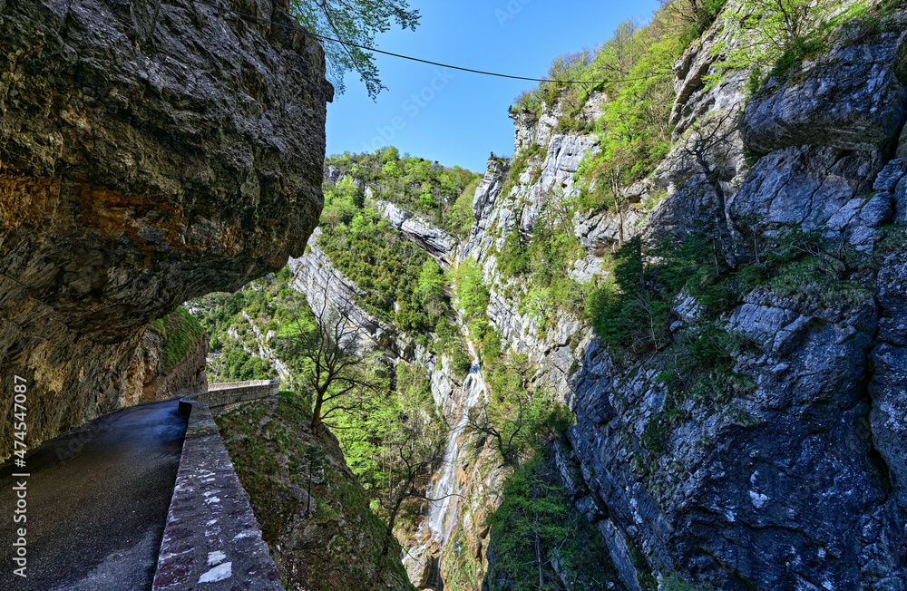 Fototapeta premium Canyon des Ecouges - Vercors
