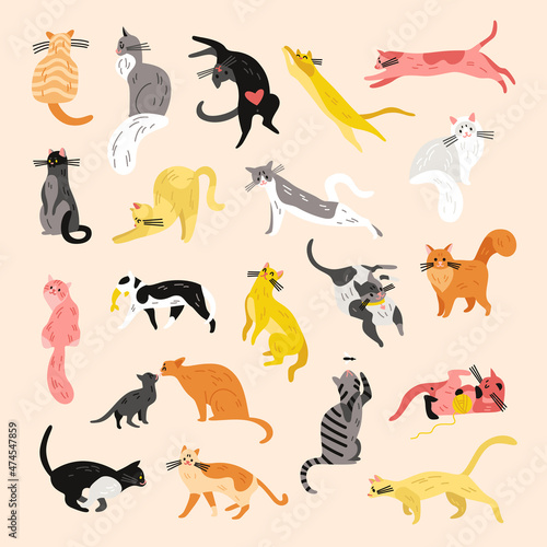 Various Cats Icon Set