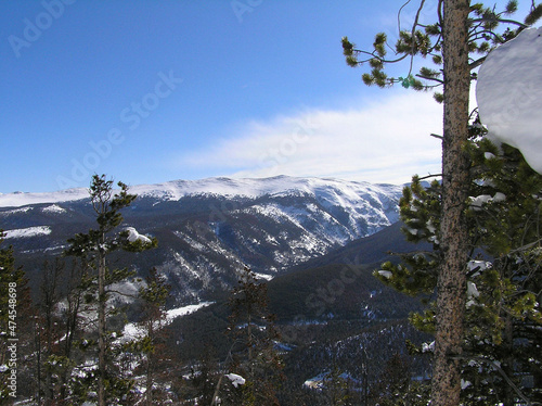 Mountain vista with snow and trees