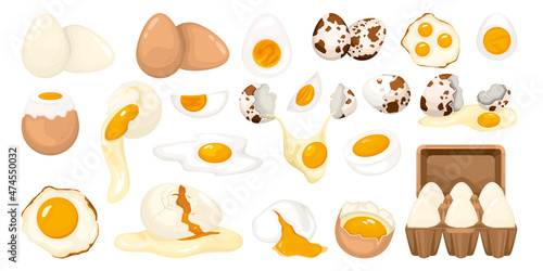 Whole And Cracked Poultry Eggs Set