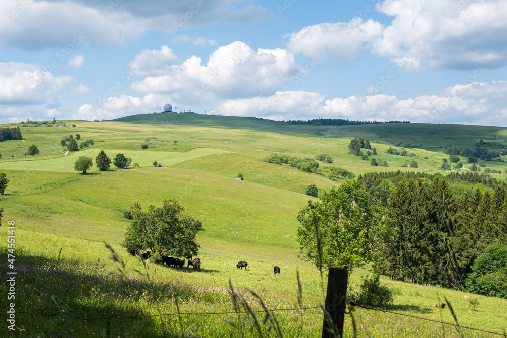 View to the hill Wasserkuppe in nature park Rhön Germany with Radom and cows on the pasture.