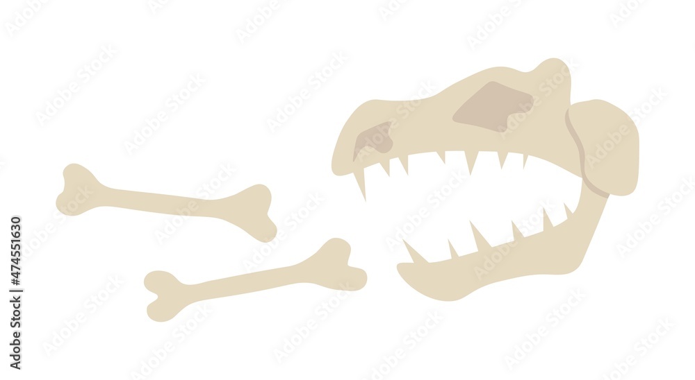 Obraz premium Bones of dinosaur. Finds of archaeologists, things from Middle Ages, history. BC animals, fauna and old animals. Graphic elements for site, stylish minimalistic icon. Cartoon flat vector illustration