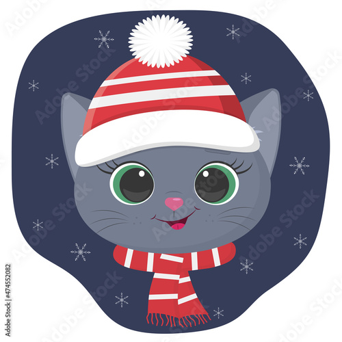 A cute kitten of the British breed is dressed in a hat and a scarf in winter. Against the background of the night sky and snowflakes.