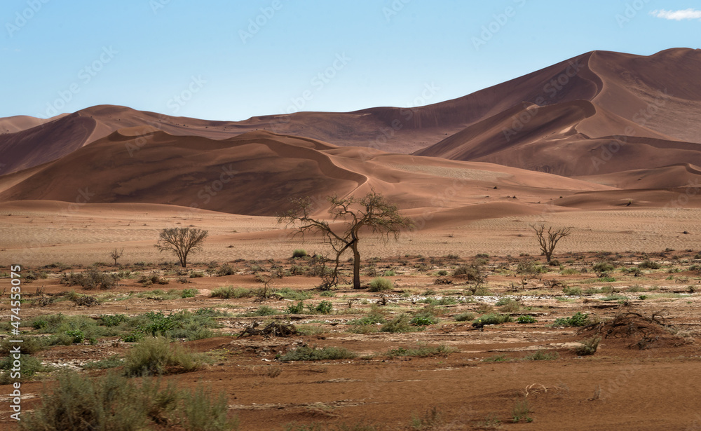 Trockenes Flusstal im der Namibischen Wüste