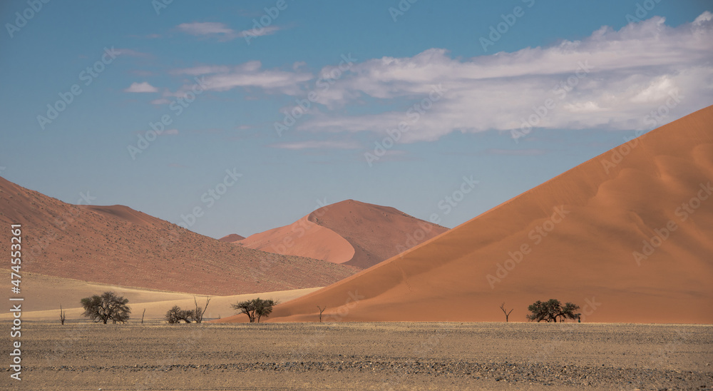 Dunes in the Namibia desert (Sossusvlei area)