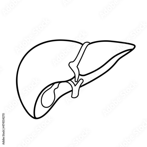 Liver sign. Vector black outline icon illustration isolated on white