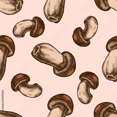 Seamless pattern with hand drawn colored porcini