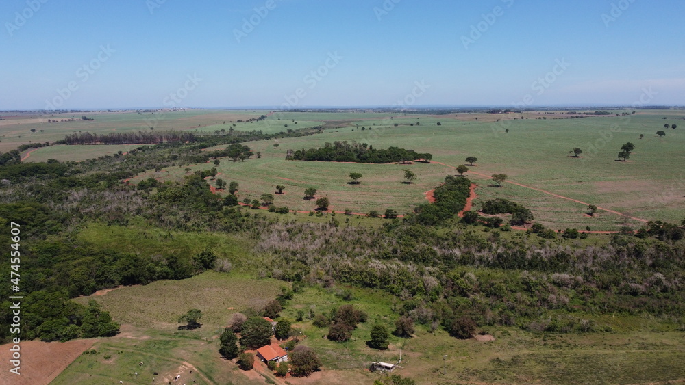 Fototapeta premium N.I.