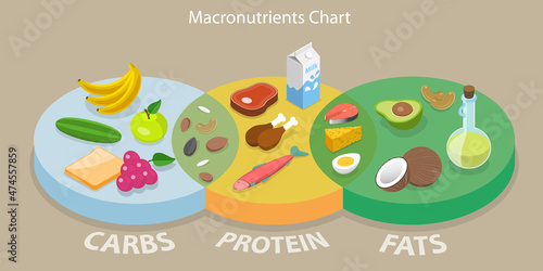 3D Isometric Flat Vector Conceptual Illustration of Macronutrients Chart, Dieting, Healthcare and Eutrophy
