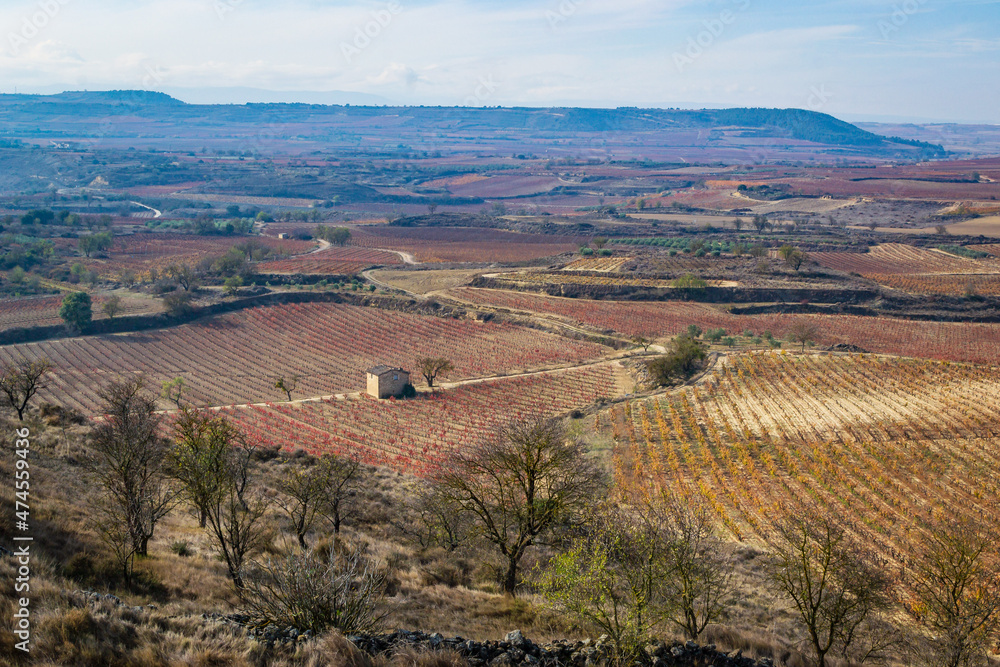 Cityscape of La Rioja (Spain)