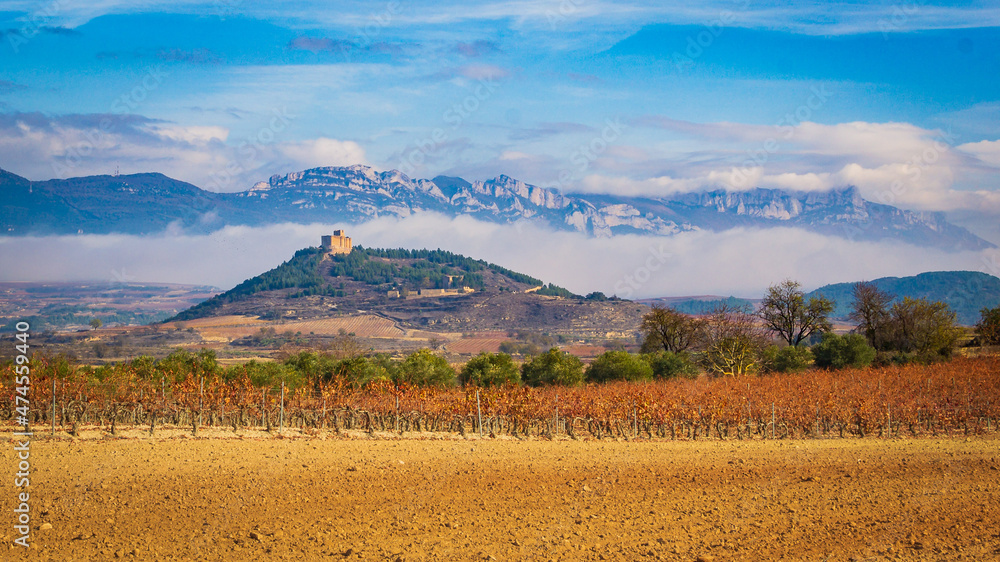 Cityscape of La Rioja (Spain)