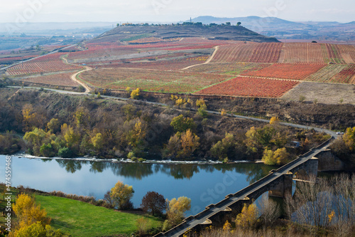 Cityscape of La Rioja (Spain)