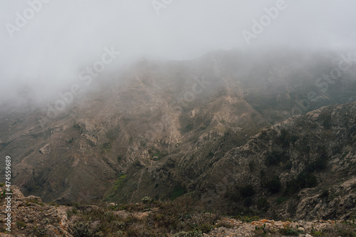 Mountain landscape in the north of the island. Tenerife. Canary Islands. Spain.