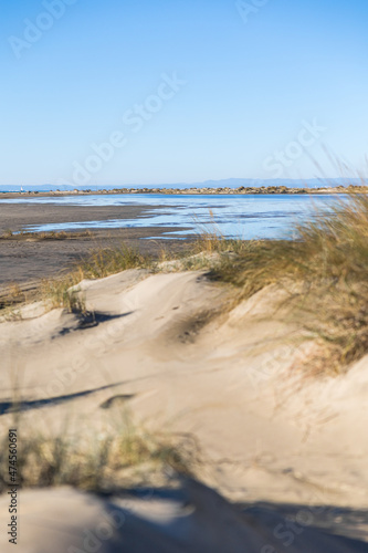 Fototapeta Naklejka Na Ścianę i Meble -  Étendue de dunes de sable et de graminée de la plage de l’Espiguette (Occitanie, France)