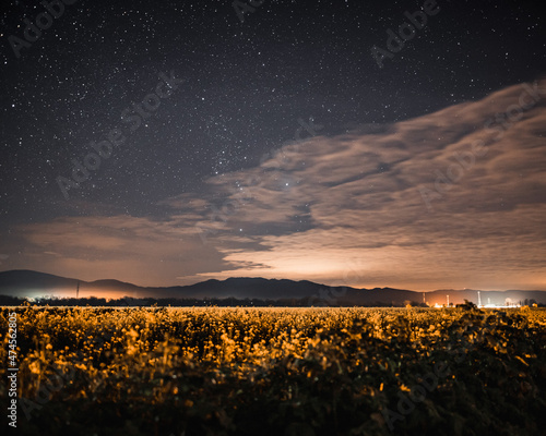 sunset over the rapseed field © Miroslav Bakoš