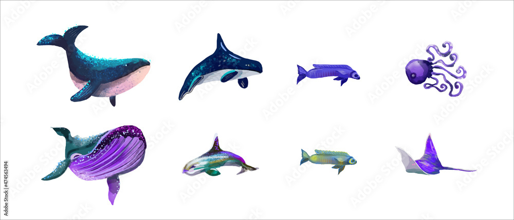 Fototapeta premium set of sea creatures. isolated ocean animals