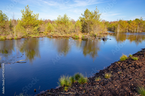 Idyllic Uchter Moor natural preserve near Nienburg in Lower Saxony  Germany