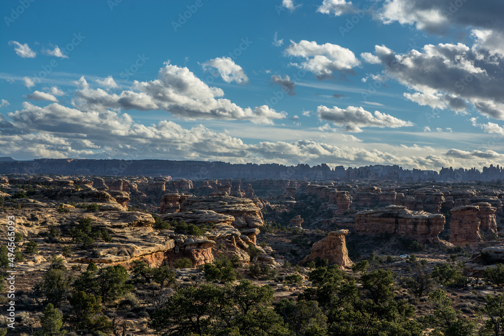 Classic panorama in the Canyonland. View to the rocky cakes